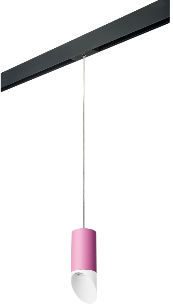 Трековый светильник однофазный 220V Lightstar Rullo PRORP43236 (prorp43236)