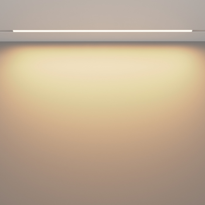 Трековый светильник Maytoni Basis Exility 48V магнитный TR030-2-30W3K-W (tr030-2-30w3k-w)