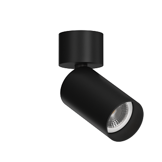 Накладной поворотный светильник под сменную лампу Ledron MJ-1184 Black (2828)