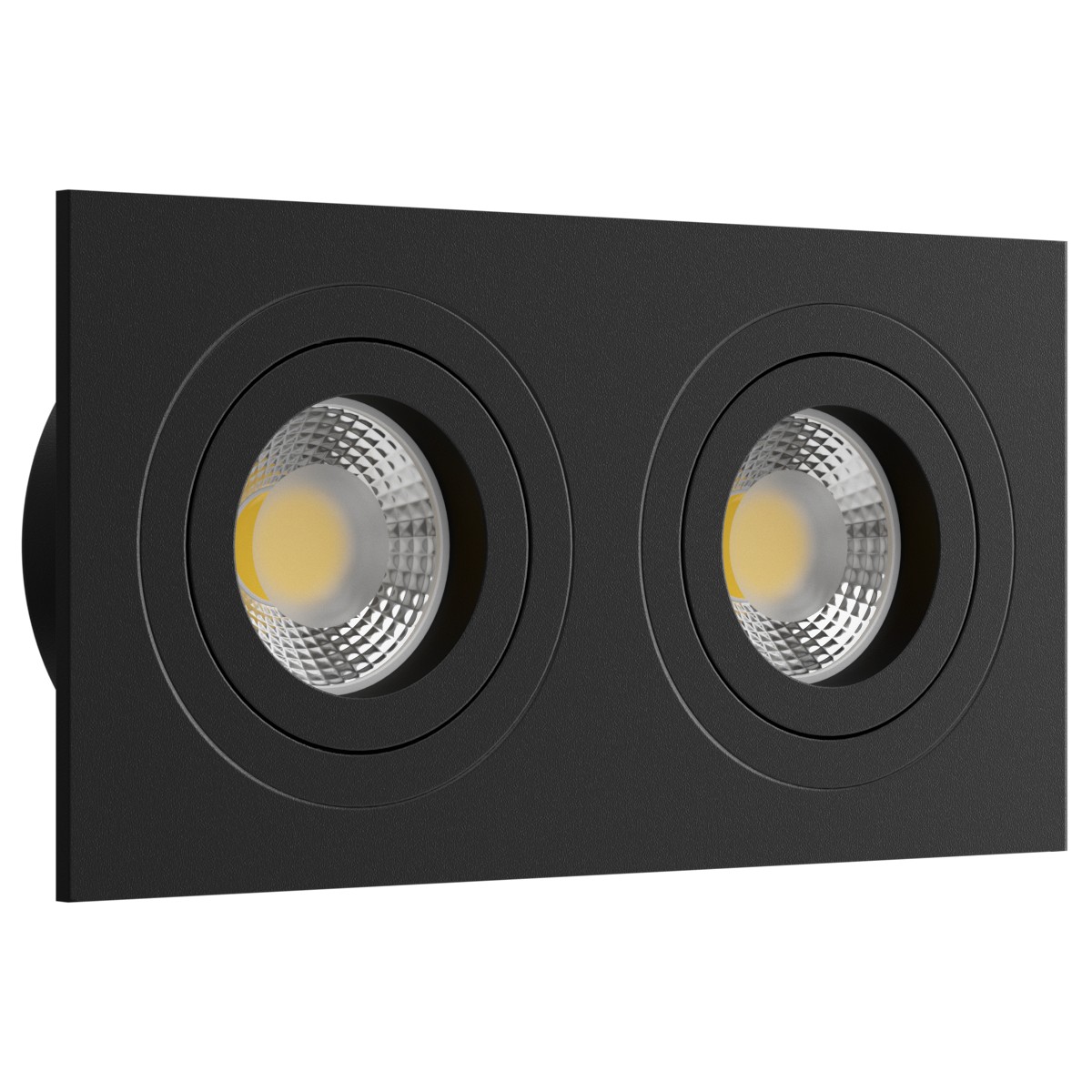 Встраиваемый поворотный светильник под сменную лампу Ledron AO11823 Black (2362)