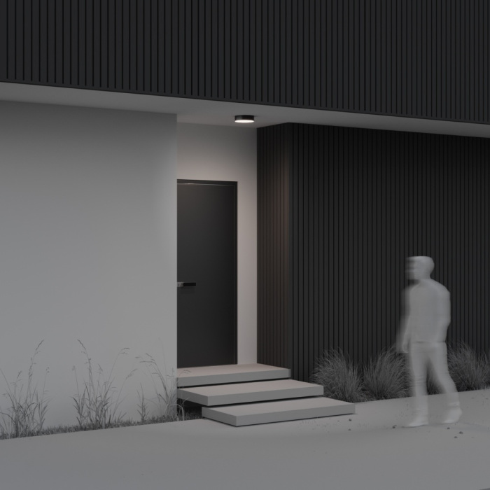 Потолочный светильник уличный Maytoni Zon IP O431CL-L30B4K (o431cl-l30b4k)