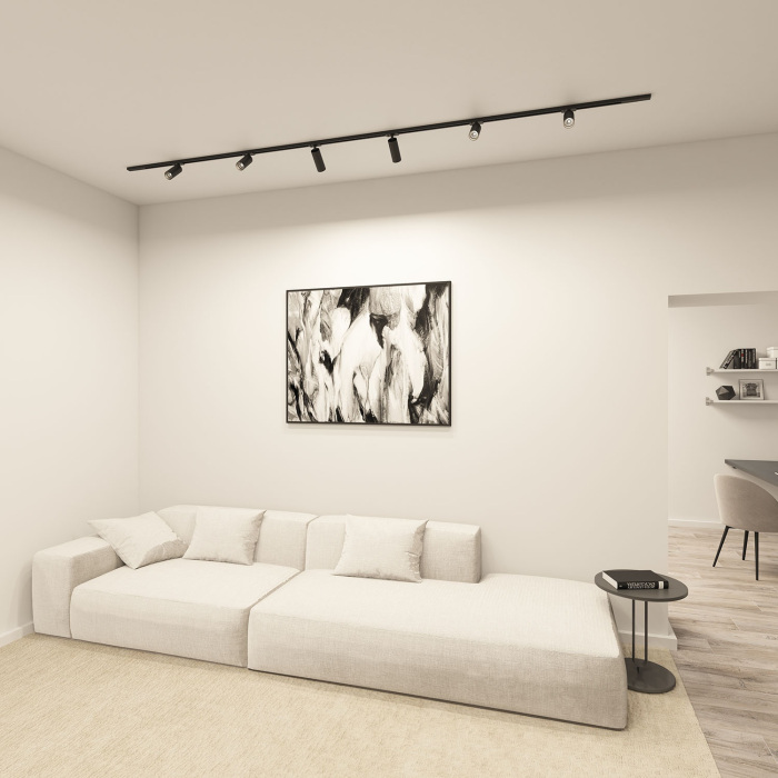 Трековый светильник однофазный Denkirs Scope DK6060-BK (dk6060-bk)