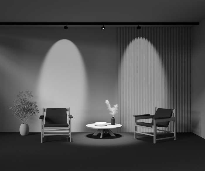 Трековый светильник магнитный 15W 48V Maytoni Lens TR217-4-15WTW-DD-B (tr217-4-15wtw-dd-b)