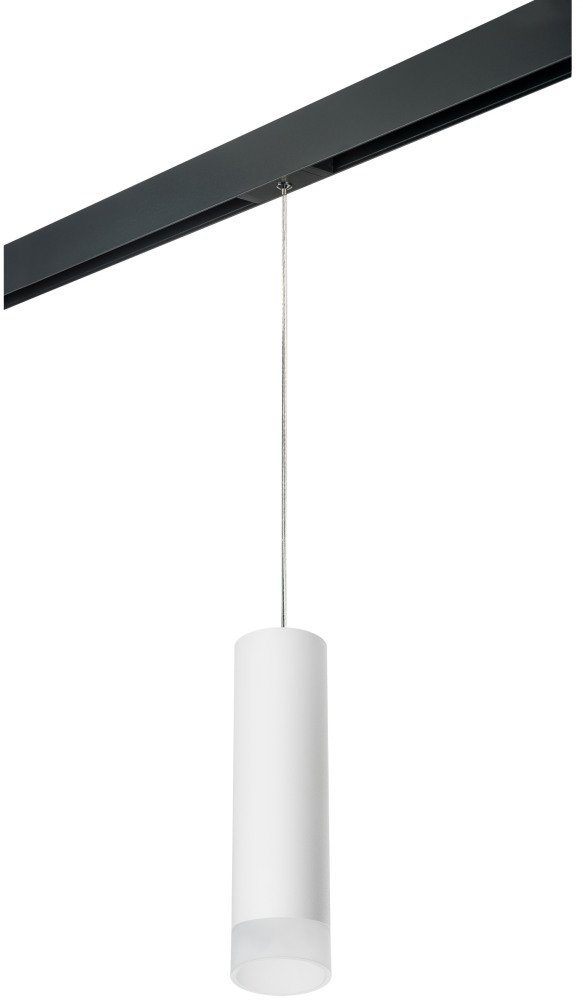 Трековый светильник однофазный 220V Lightstar Rullo PRORP649681 (prorp649681)