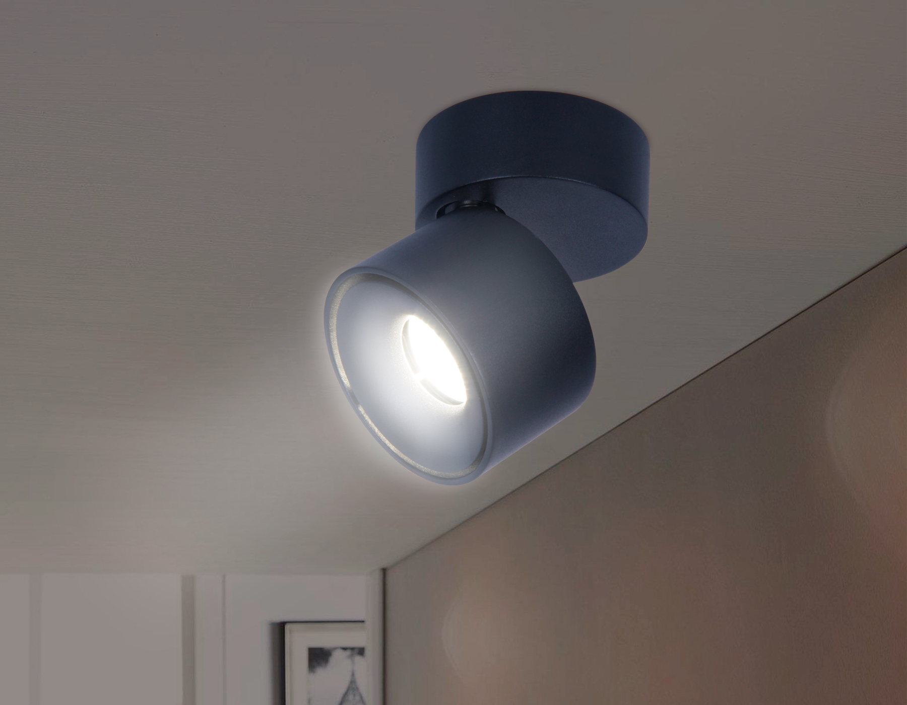 Накладной поворотный светодиодный светильник TN269 SBK черный песок LED 4200K 7W D75*83