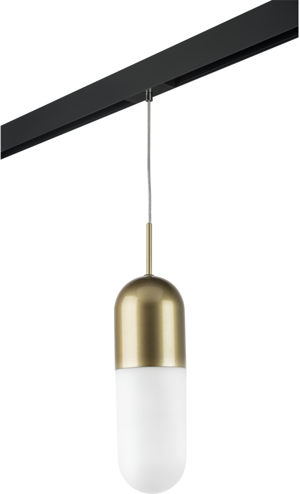 Трековый светильник однофазный 220V Lightstar Ramo PRO690113 (pro690113)