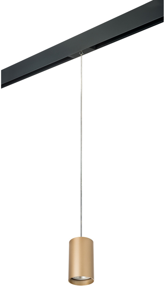 Трековый светильник однофазный 220V Lightstar Rullo PRORP440 (prorp440)