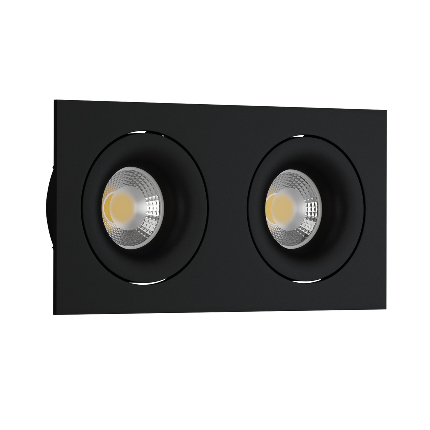 Встраиваемый поворотный светильник под сменную лампу Ledron DE202 Black (2332)