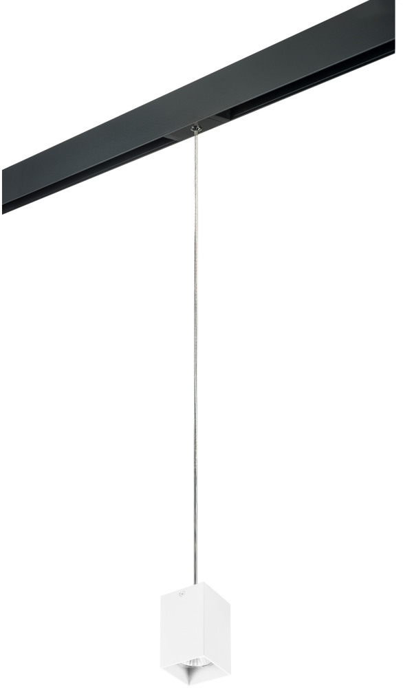 Трековый светильник однофазный 220V Lightstar Rullo PRORP336 (prorp336)