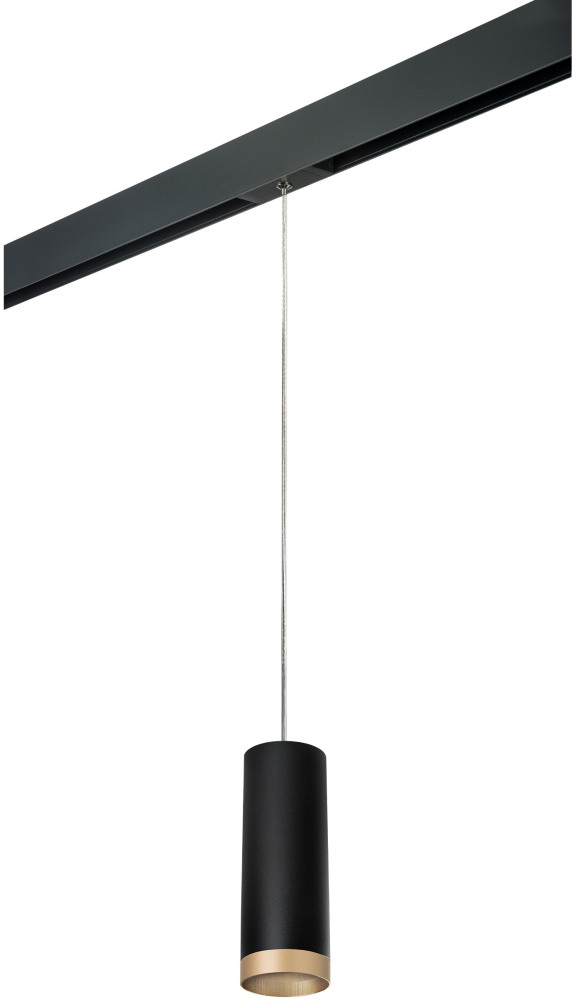 Трековый светильник однофазный 220V Lightstar Rullo PRORP48740 (prorp48740)