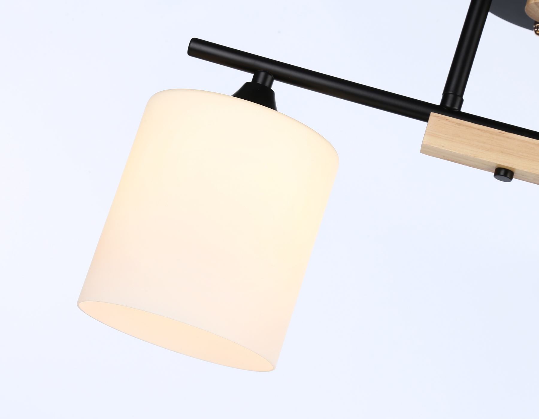 Подвесной светильник TR9543/2 BK/FR черный/белый матовый E27/2 max 40W 435*120*280