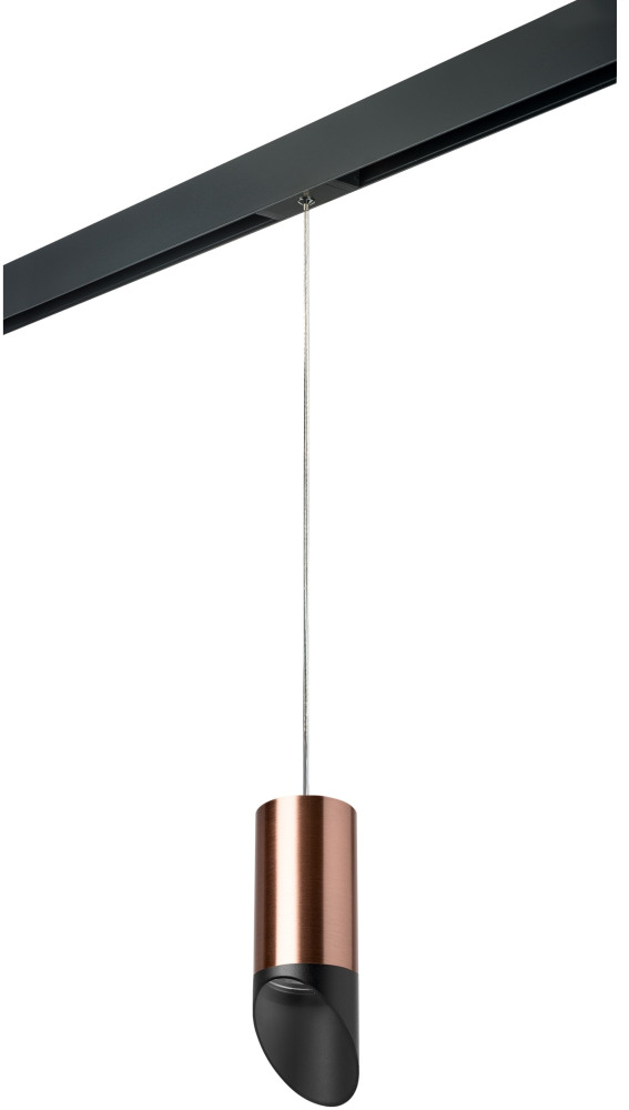 Трековый светильник однофазный 220V Lightstar Rullo PRORP43037 (prorp43037)