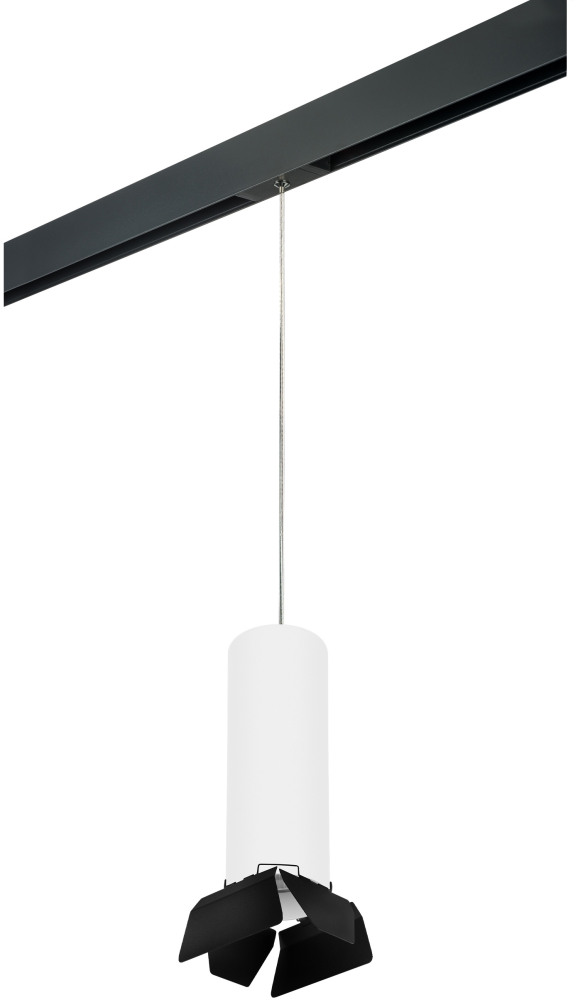 Трековый светильник однофазный 220V Lightstar Rullo PRORP6496487 (prorp6496487)