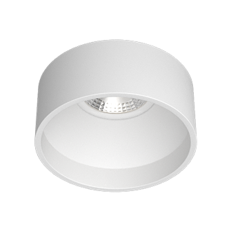 Встраиваемый светильник под сменную лампу Ledron KEA GU10 White (2439)