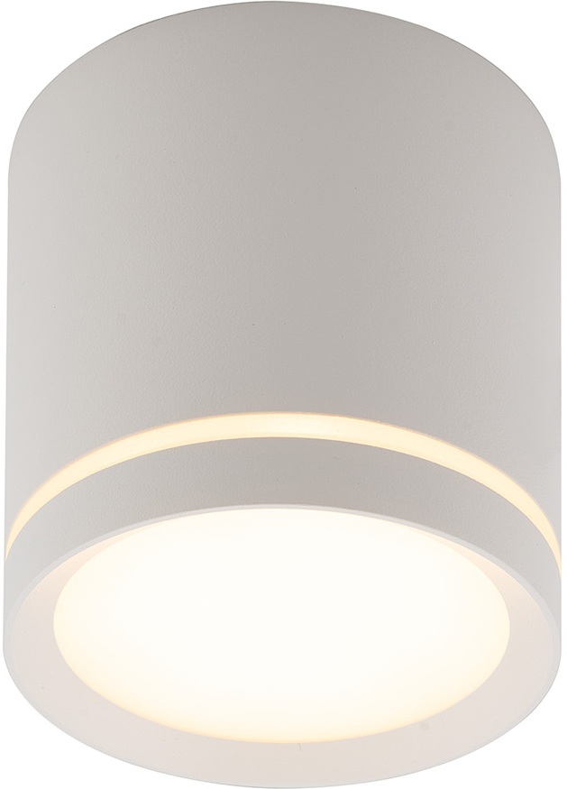 Накладной светильник светодиодный DK4016-WH (dk4016-wh)