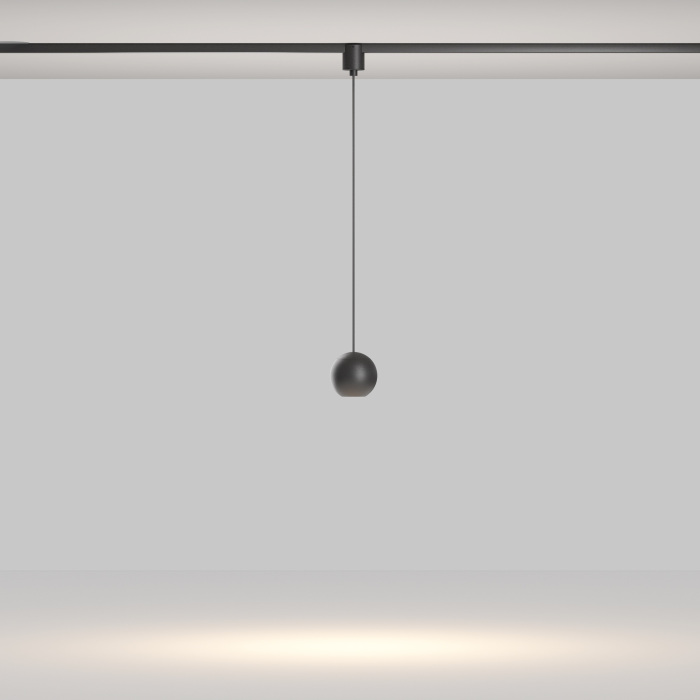 Трековый светильник Maytoni Elasity Sfera TR165-1-8W3K-M-B (tr165-1-8w3k-m-b)