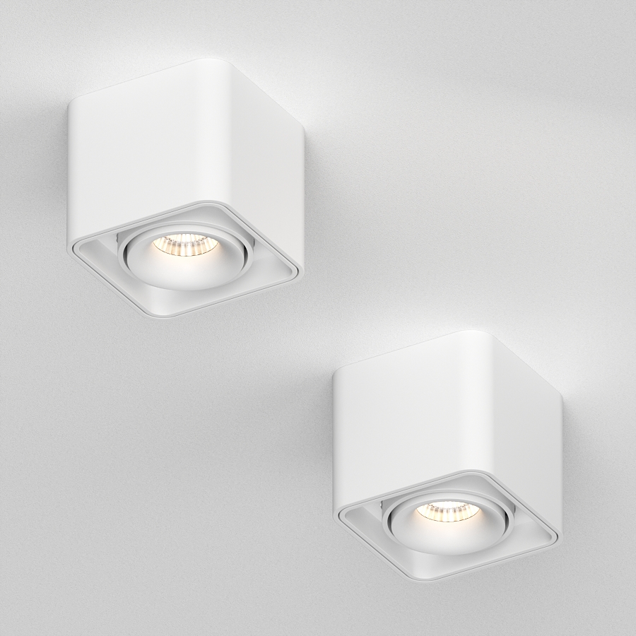 Накладной поворотный светодиодный светильник Ledron TUBING White (2665)