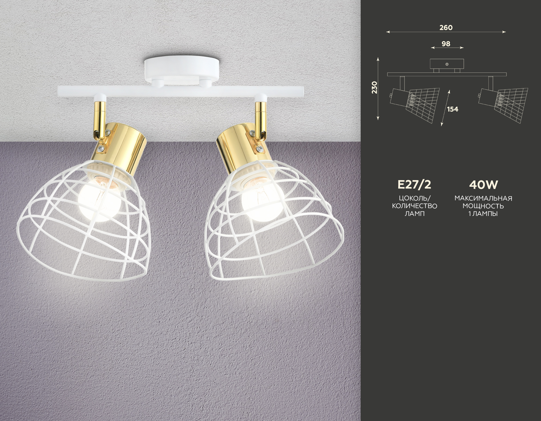 Настенно-потолочный спот в стиле лофт TR8601/2 WH/GD белый/золото E27*2 max 40W 260*154*230