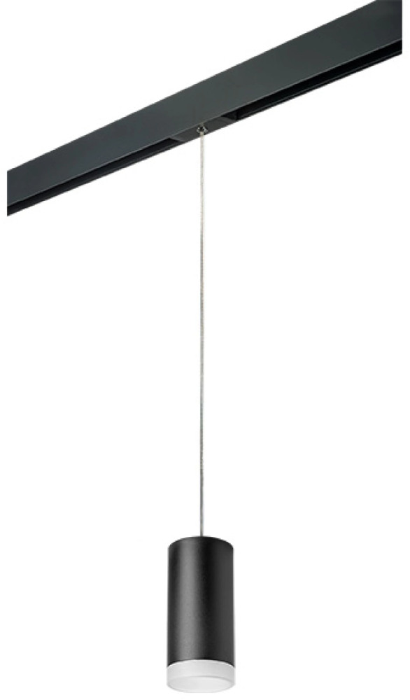 Трековый светильник однофазный 220V Lightstar Rullo PRORP648780 (prorp648780)