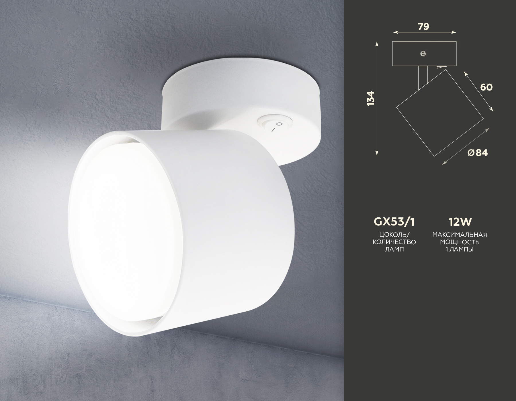 Накладной спот с выключателем TA132 WH белый GX53 max 12W D79*134*D84