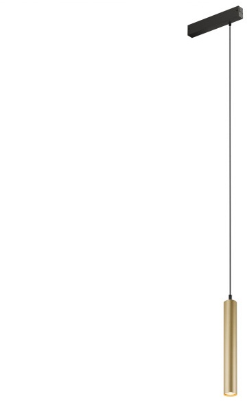 Трековый светильник однофазный Smart Spot DK8008-BG (dk8008-bg)