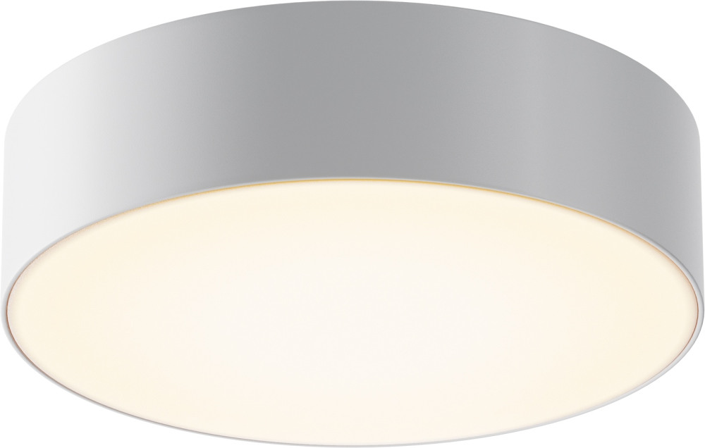 Потолочный светильник уличный Maytoni Zon IP O431CL-L30W3K (o431cl-l30w3k)