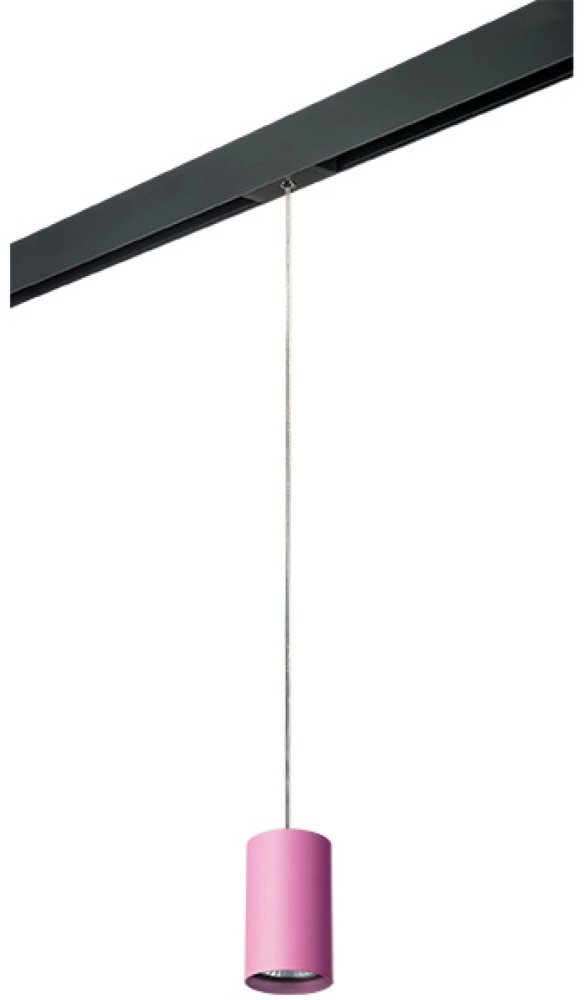 Трековый светильник однофазный 220V Lightstar Rullo PRORP432 (prorp432)