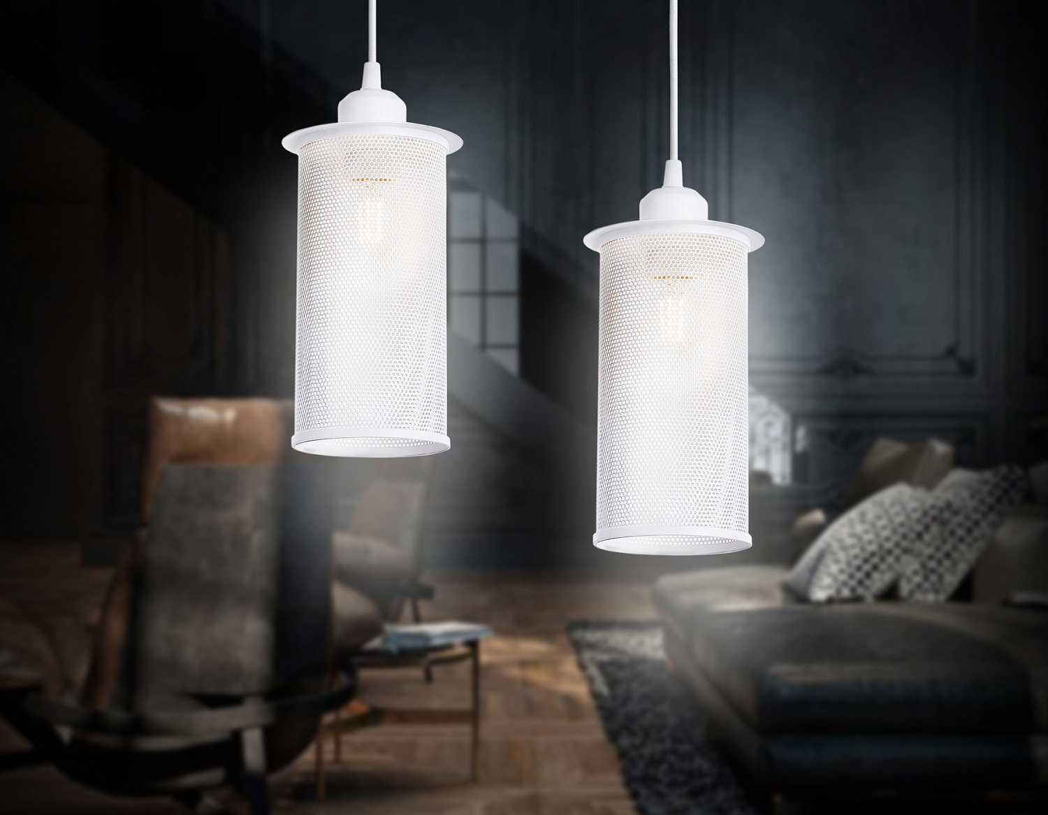 Подвесной светильник в стиле лофт TR8161 WH белый E27 max 40W D102*1055