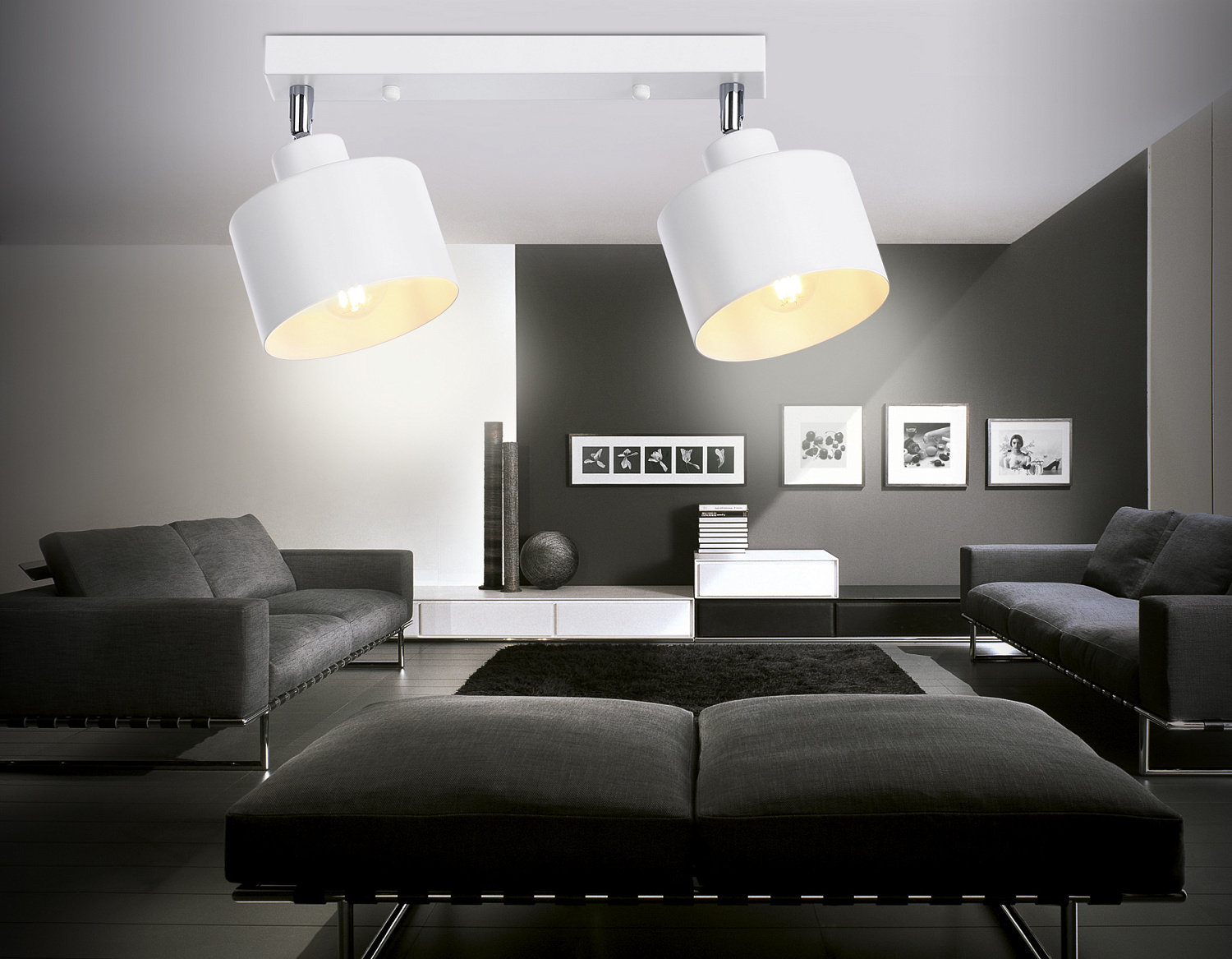 Настенно-потолочный спот в стиле лофт TR8141/2 WH белый E27*2 max 40W 340*120*180