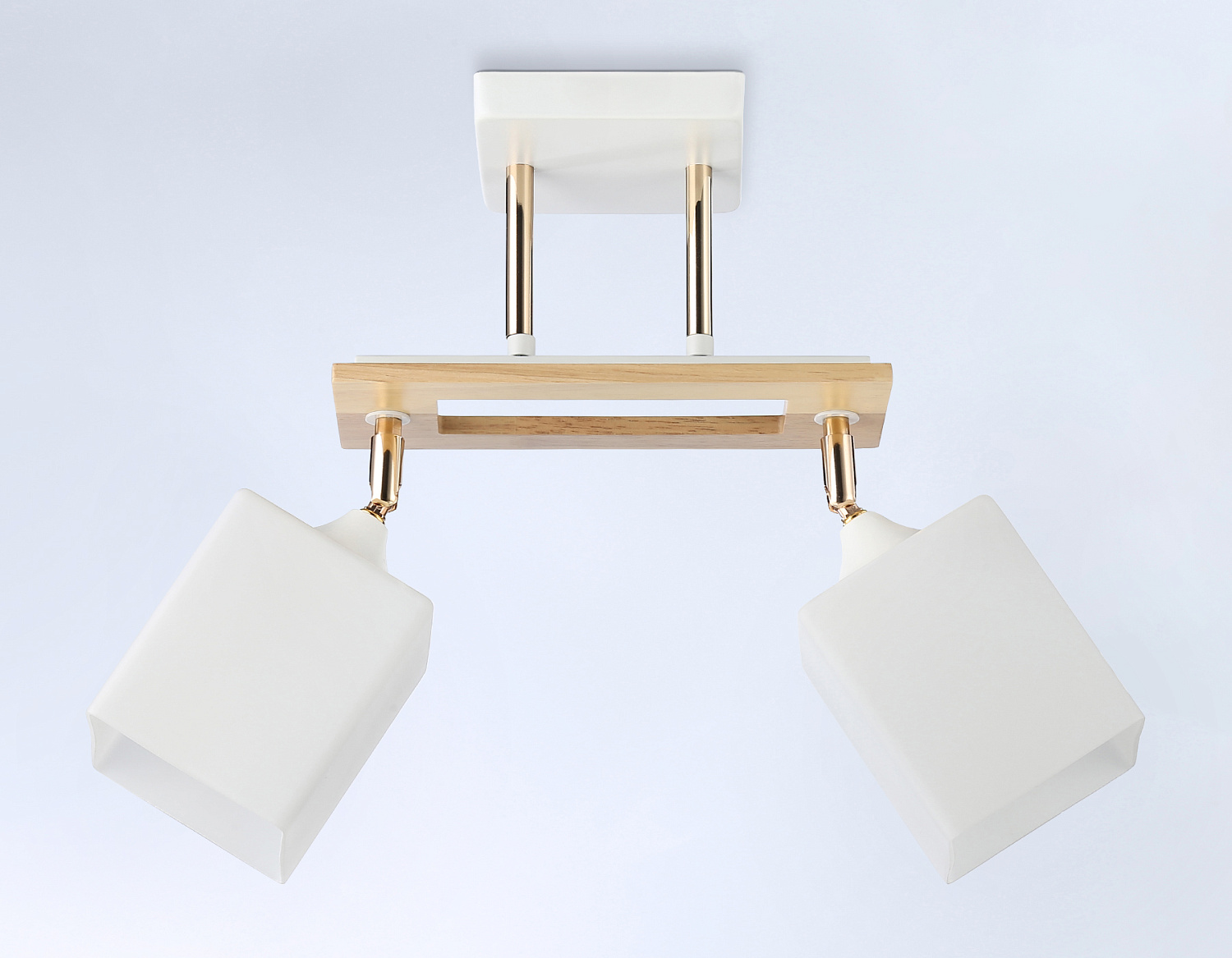 Подвесной светильник TR9501/2 WH/FGD/FR белый/золото/белый матовый E27/2 max 40W 510*100*270