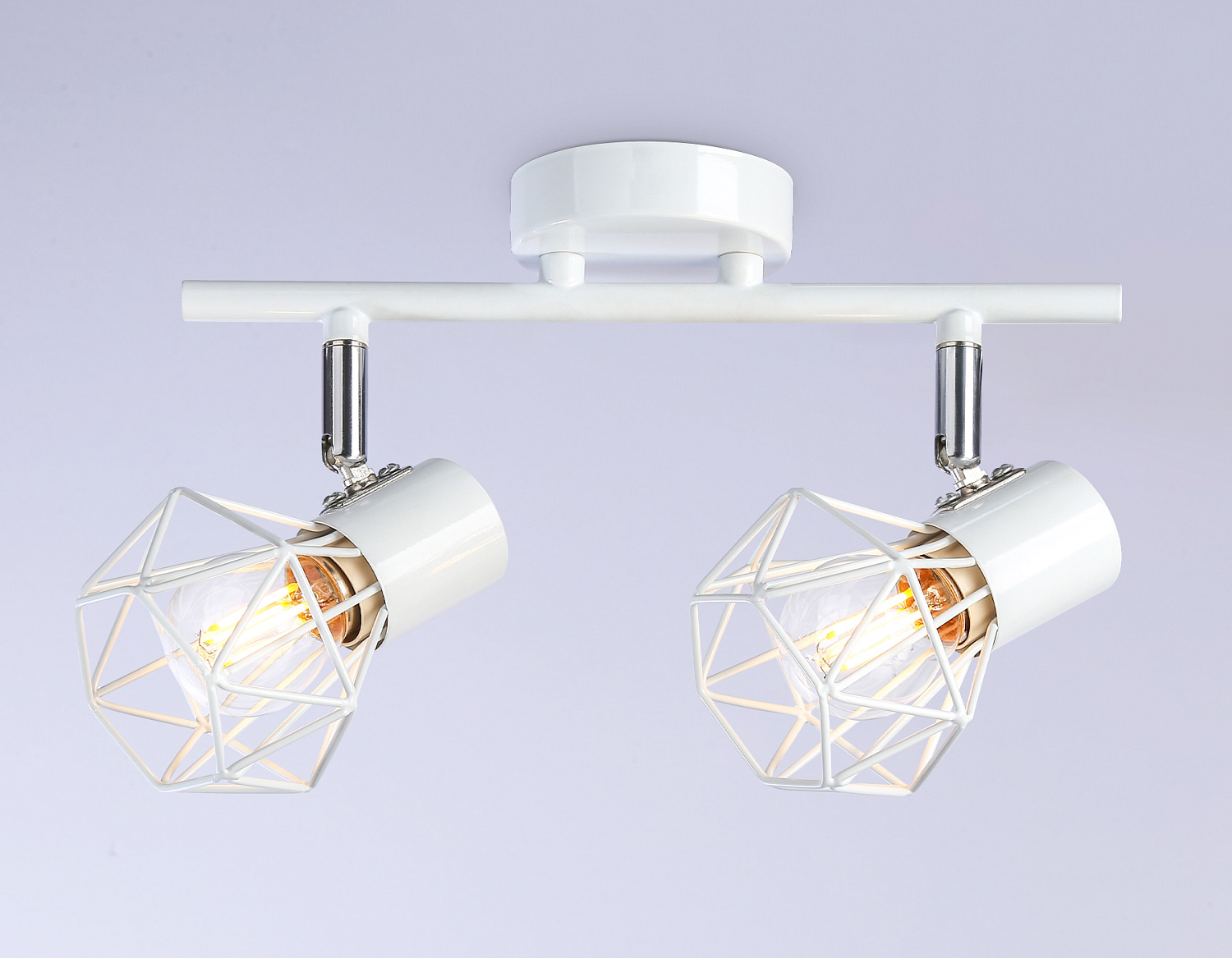 Настенно-потолочный спот в стиле лофт TR8628/2 WH/CH белый/хром E27*2 max 40W 260*91*175