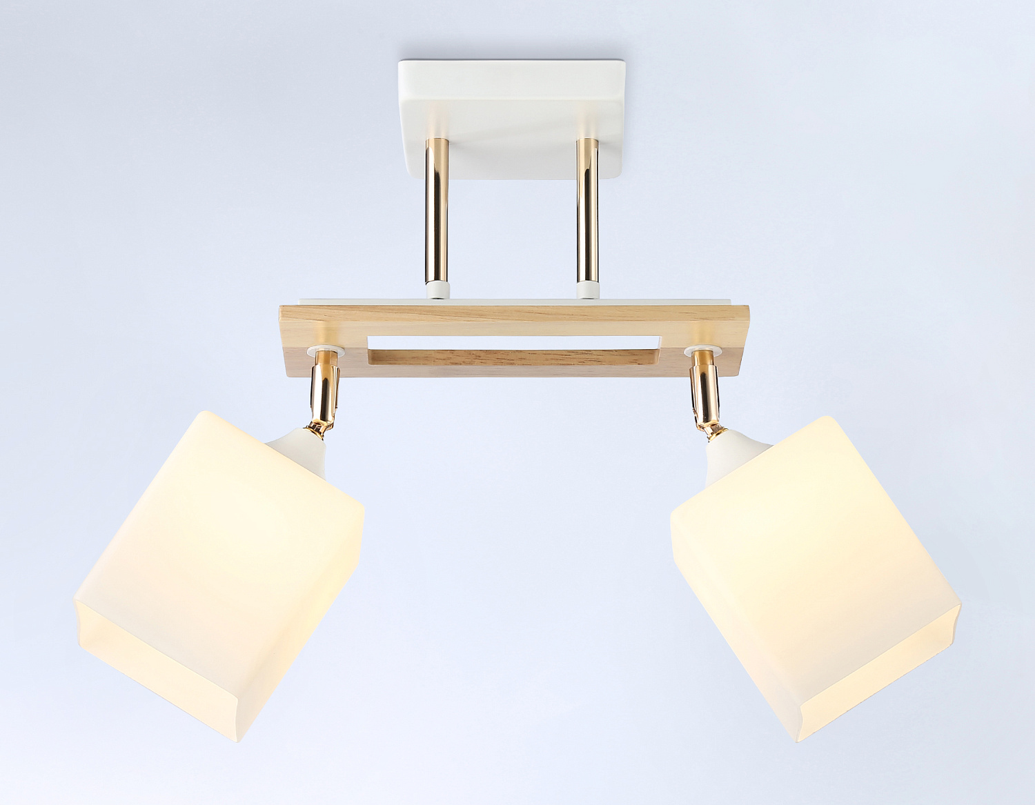 Подвесной светильник TR9501/2 WH/FGD/FR белый/золото/белый матовый E27/2 max 40W 510*100*270